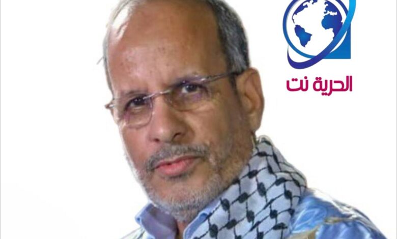 محمد ماء العينين ولد أييه