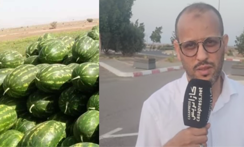 المغربي سعيد
