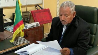 محمد الشيخ ولد سيد محمد