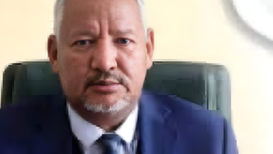 محمد الشيخ ولد سيدي محمد