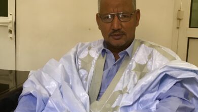 محمد الشيخ ولد سيدي محمد