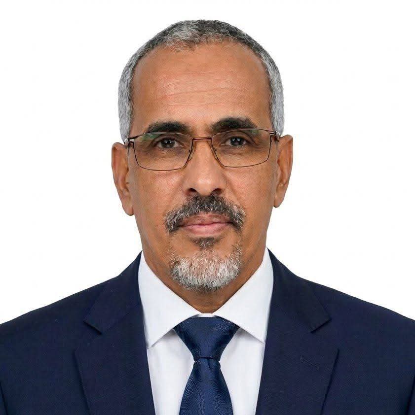 أحمد ولد الدوه الشنقيطي