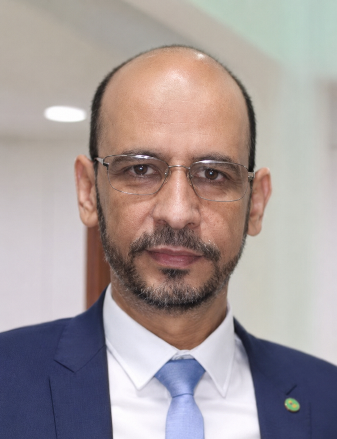 محمد الشيخ ولد لحبيب