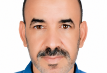 محمد الحبيب هويدي