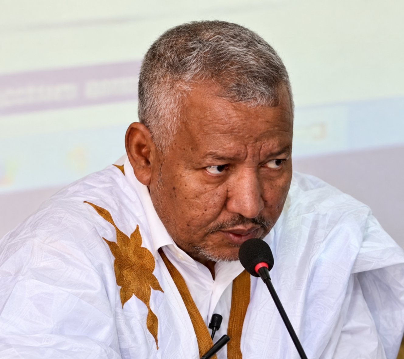 محمد الشيخ ولد سيد محمد